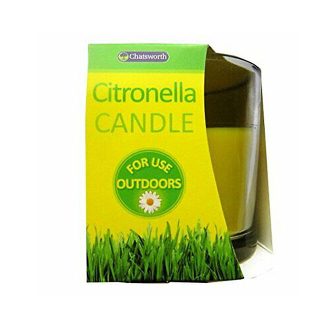 Chatsworth Citronella Glass Candle