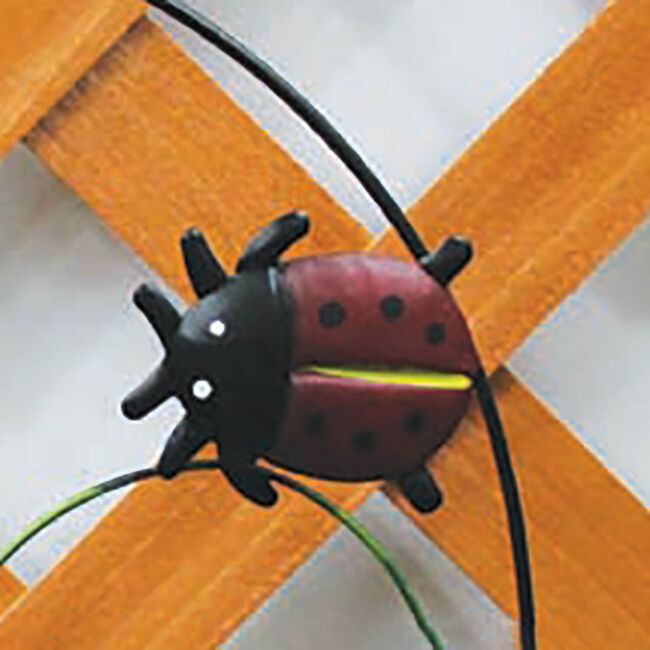 Ladybird Picket Fence