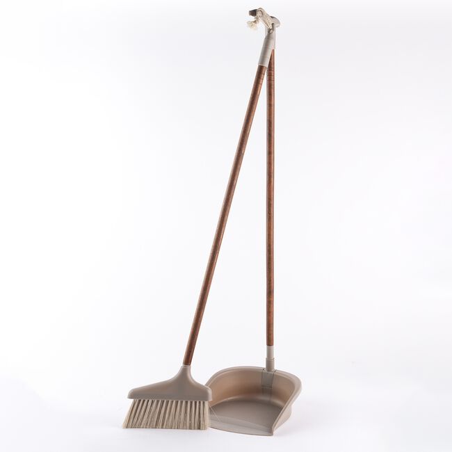 Salter Warm Harmony Long Handle Dustpan & Brush