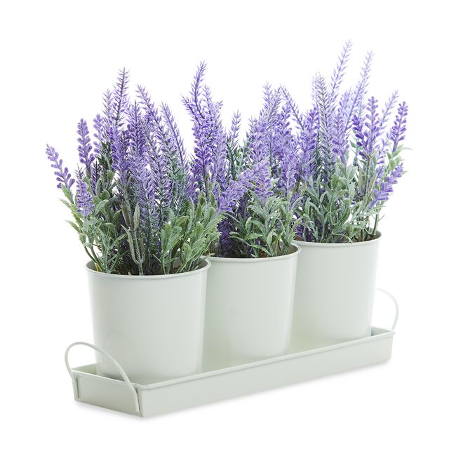 Lavender Pots Trio