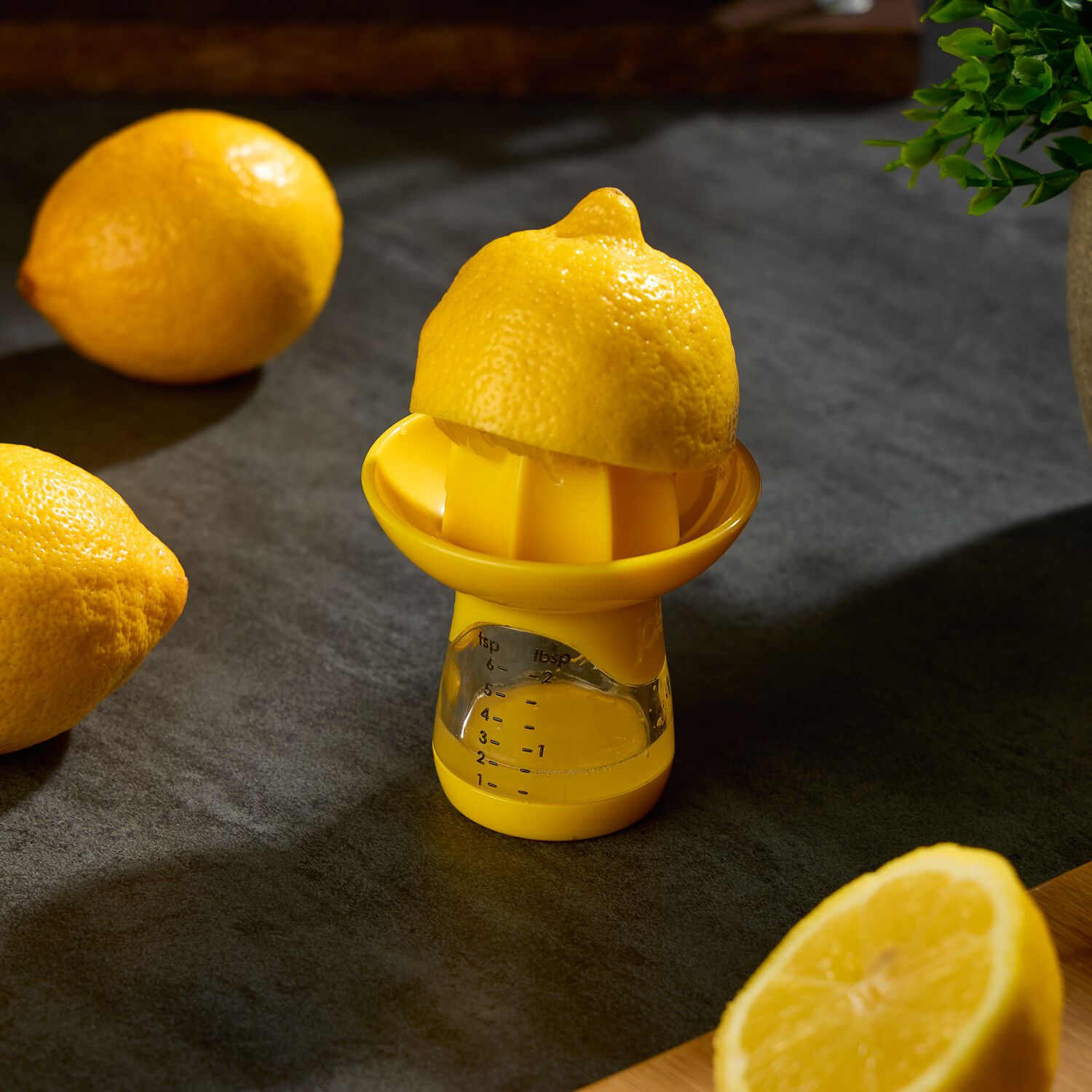 Joie lemon clearance juicer