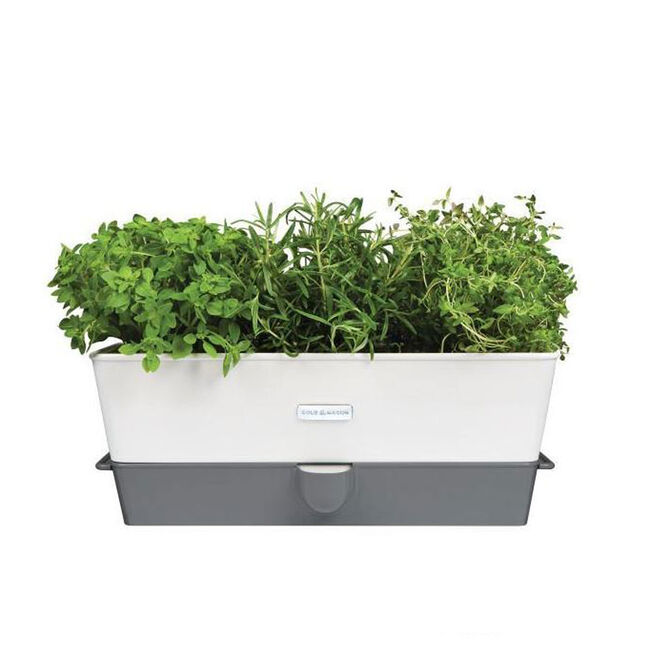 Cole & Mason Triple Self Watering Herb Keeper