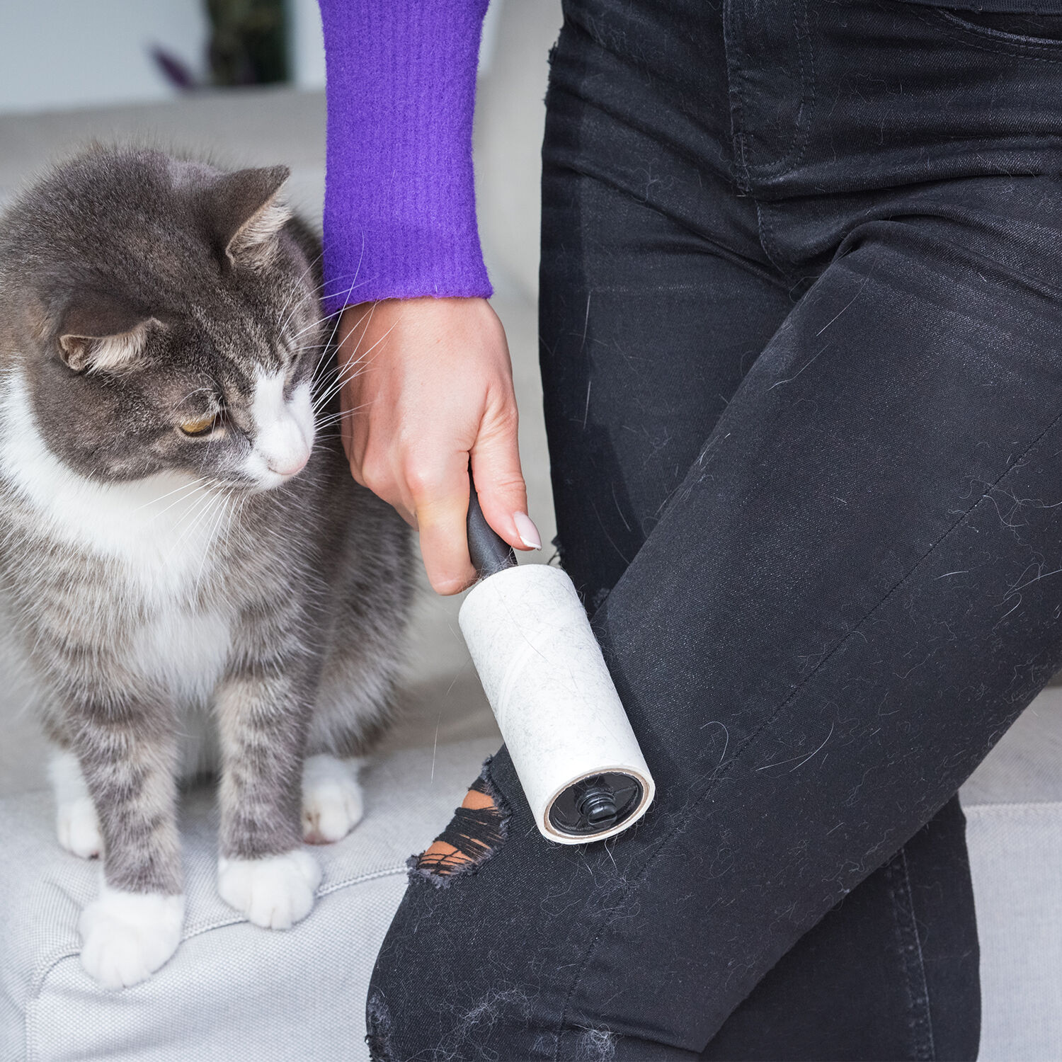 Where can i buy a lint clearance roller