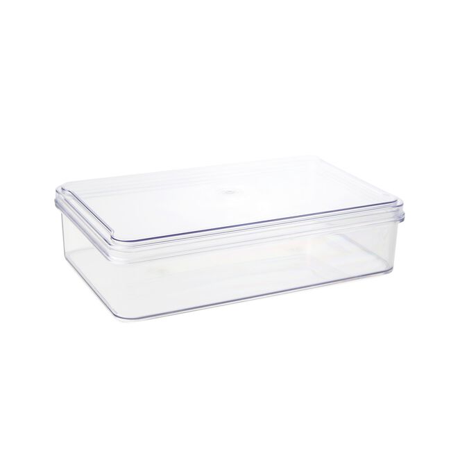 Fridge & Freezer Bin With Lid 