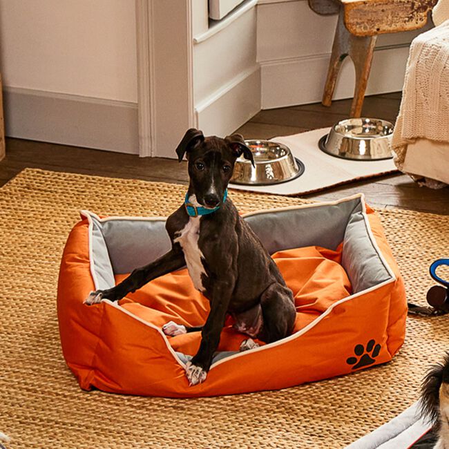 Deluxe Waterproof Pet Bed Extra Large