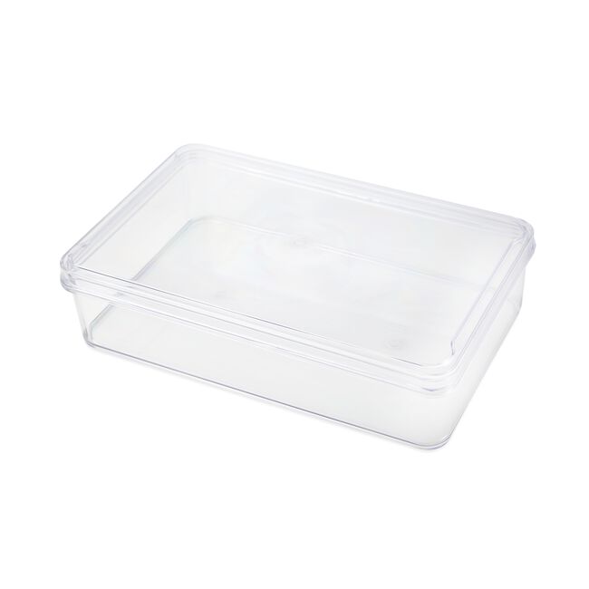 Fridge & Freezer Bin With Lid 