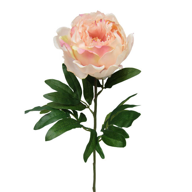 https://www.homestoreandmore.co.uk/dw/image/v2/BCBN_PRD/on/demandware.static/-/Sites-master/default/dw9a71945c/images/Peony-Single-Stem-Pink-Flower-74cm-faux-flowers-122631-hi-res-0.jpg?sw=650