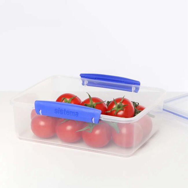Sistema 2L Airtight Lunch Box Container