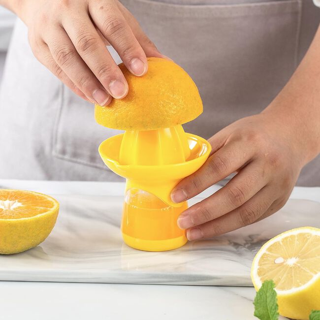 Kitchen Classic Citrus Juicer