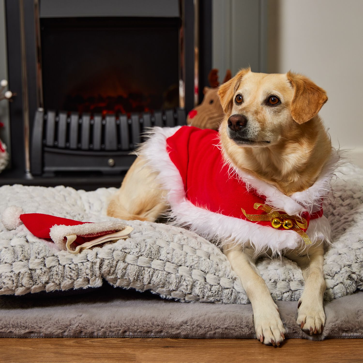 Dog santa hot sale outfit