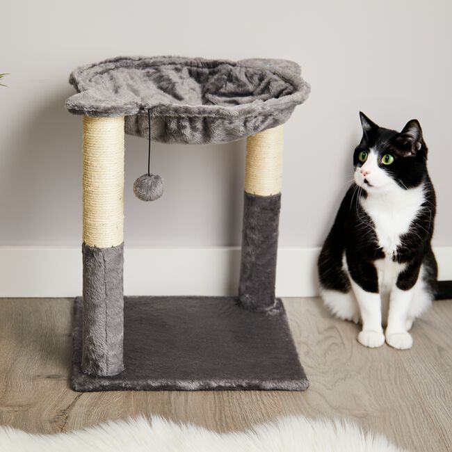 Oasis Small Cat Tree