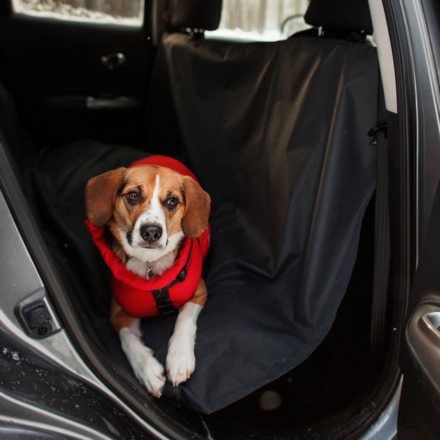 Auto seat store covers for dogs