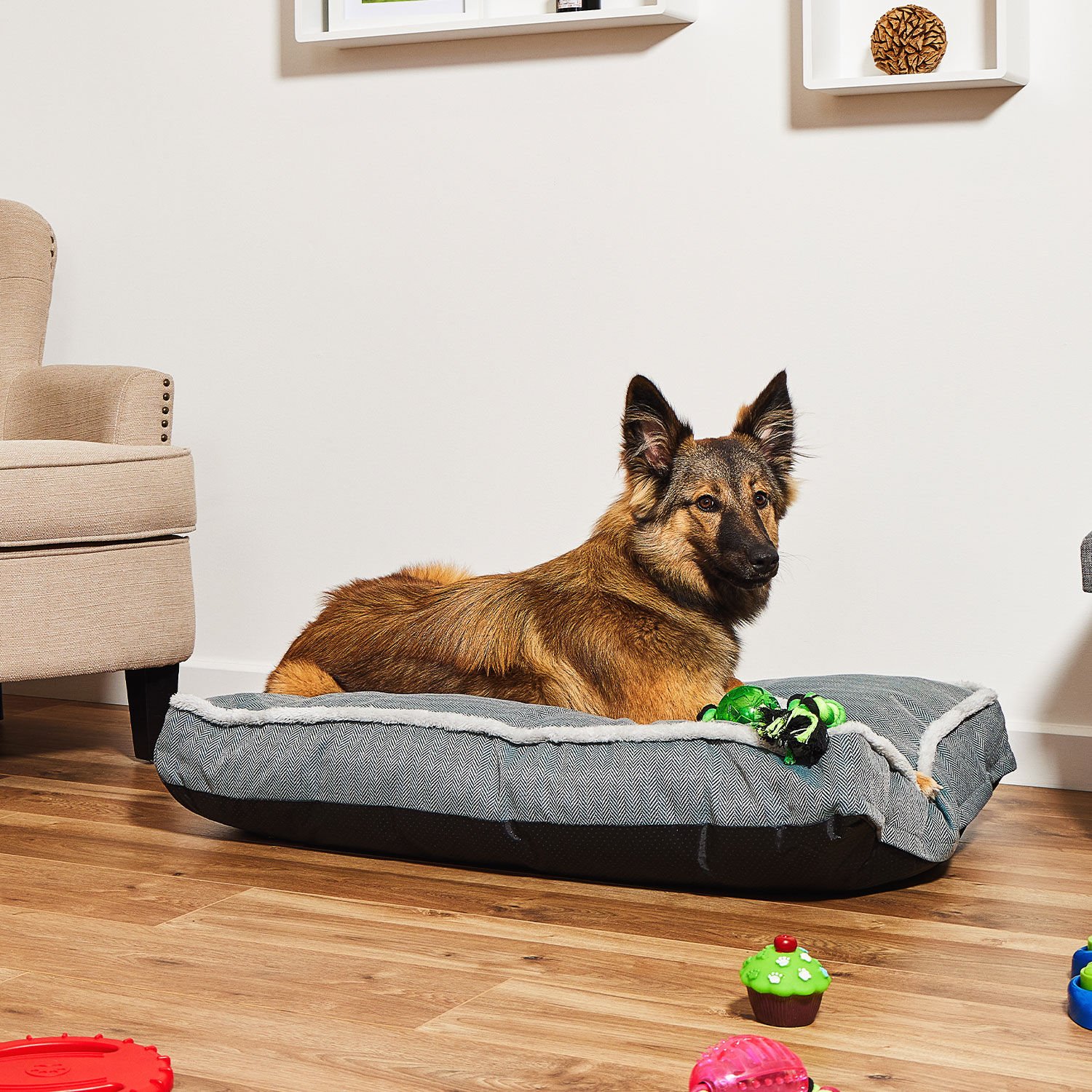 Paws best sale dog bed