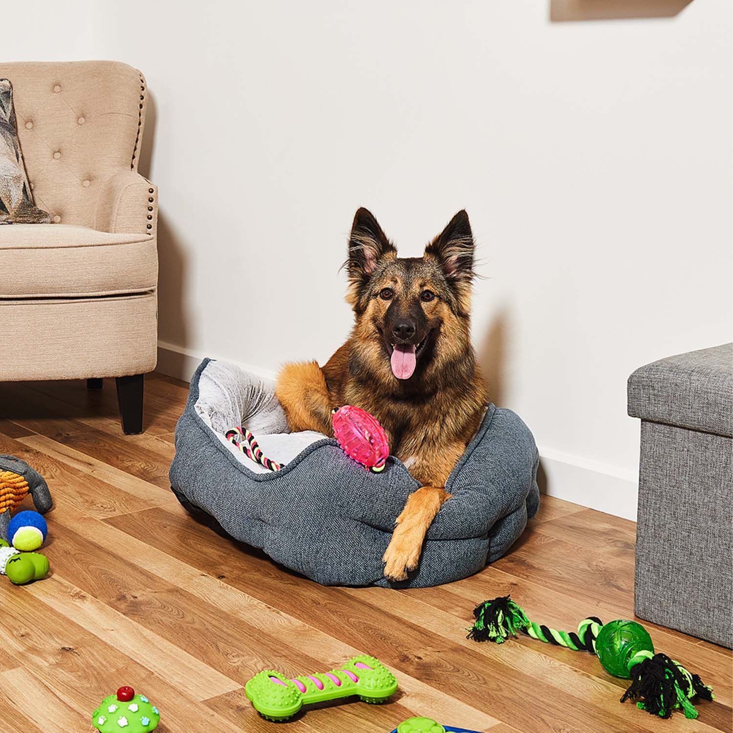 Dog beds homestore and sale more